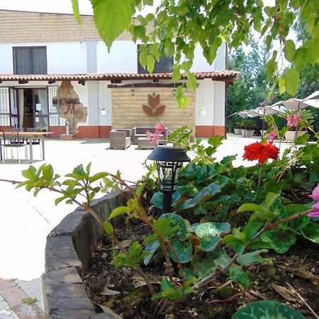 Casale Rurale Bed & Breakfast San Marco Evangelista Dış mekan fotoğraf