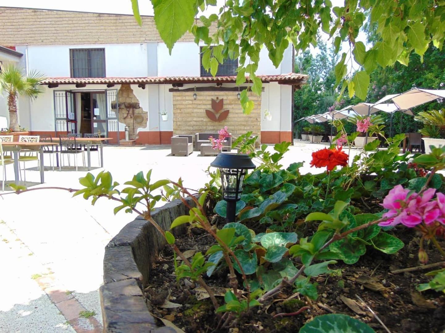 Casale Rurale Bed & Breakfast San Marco Evangelista Dış mekan fotoğraf