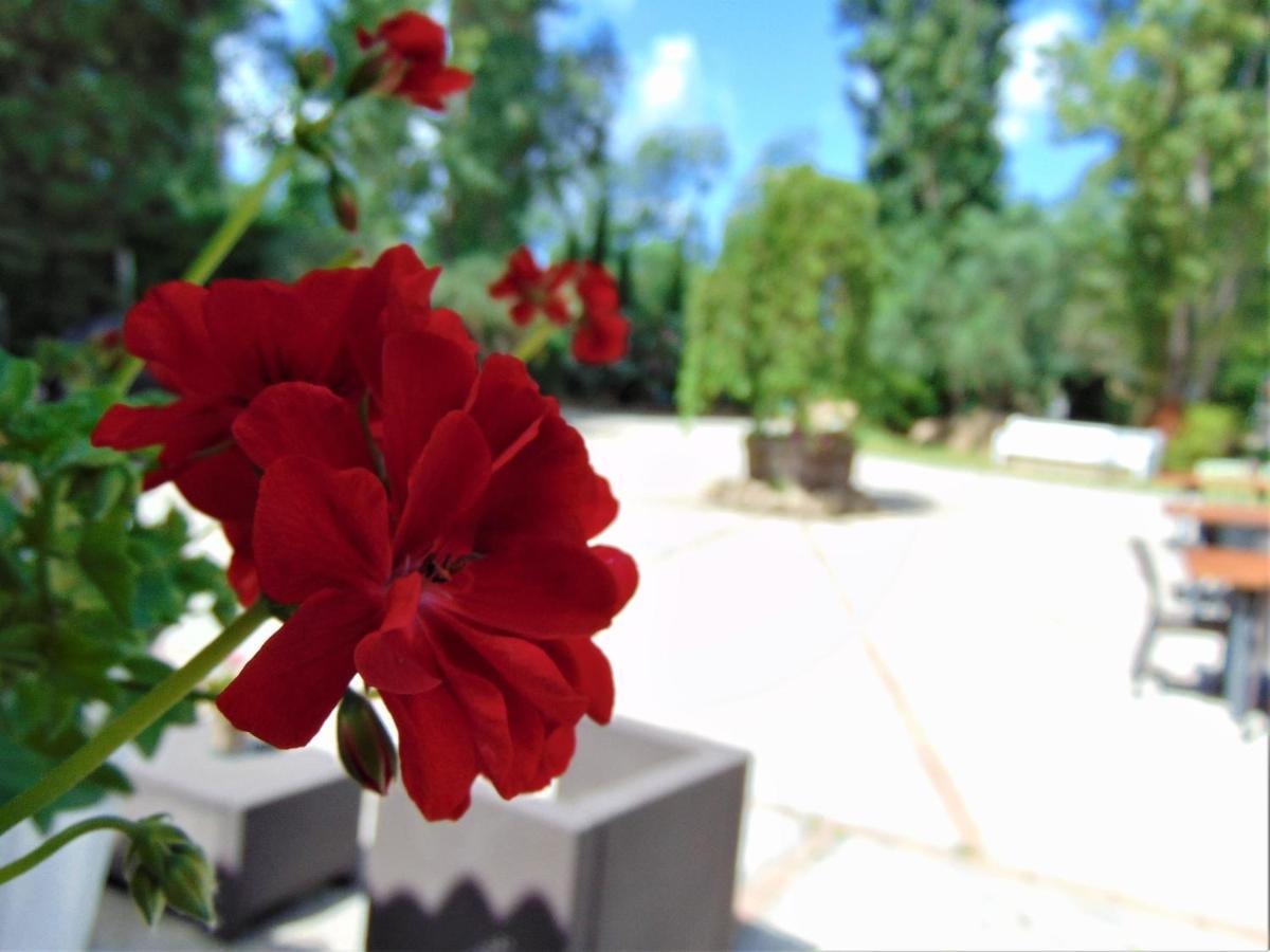 Casale Rurale Bed & Breakfast San Marco Evangelista Dış mekan fotoğraf