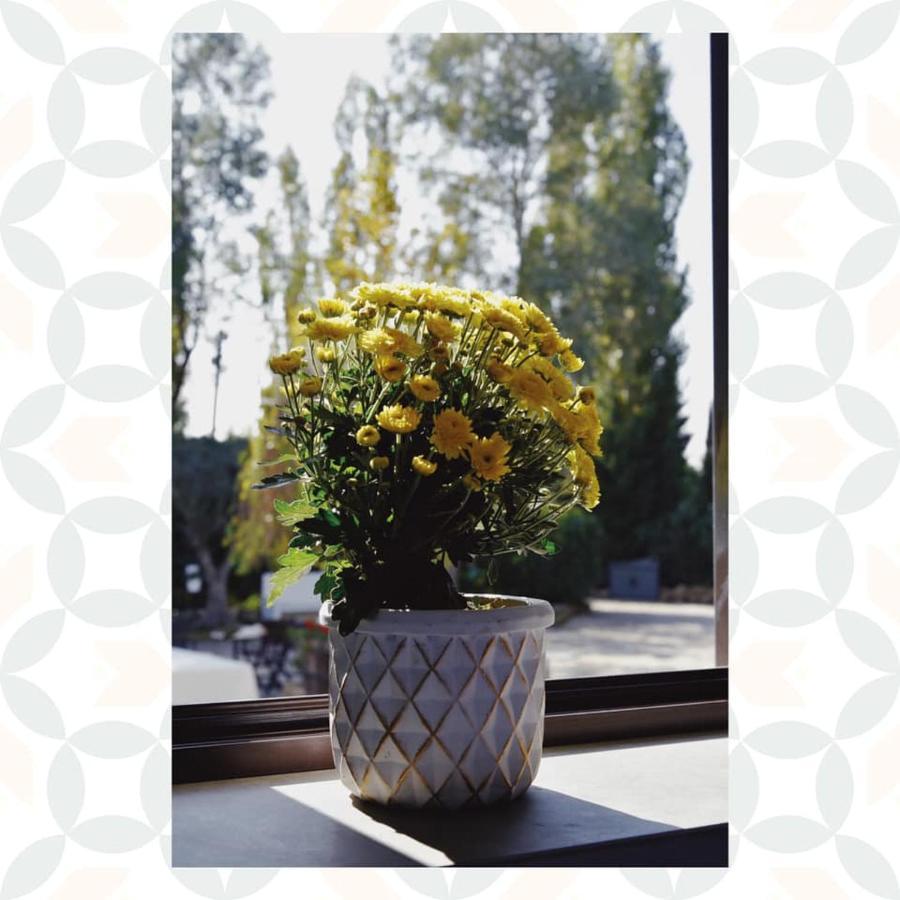 Casale Rurale Bed & Breakfast San Marco Evangelista Dış mekan fotoğraf