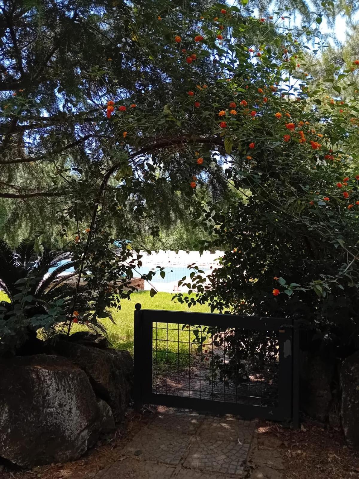 Casale Rurale Bed & Breakfast San Marco Evangelista Dış mekan fotoğraf
