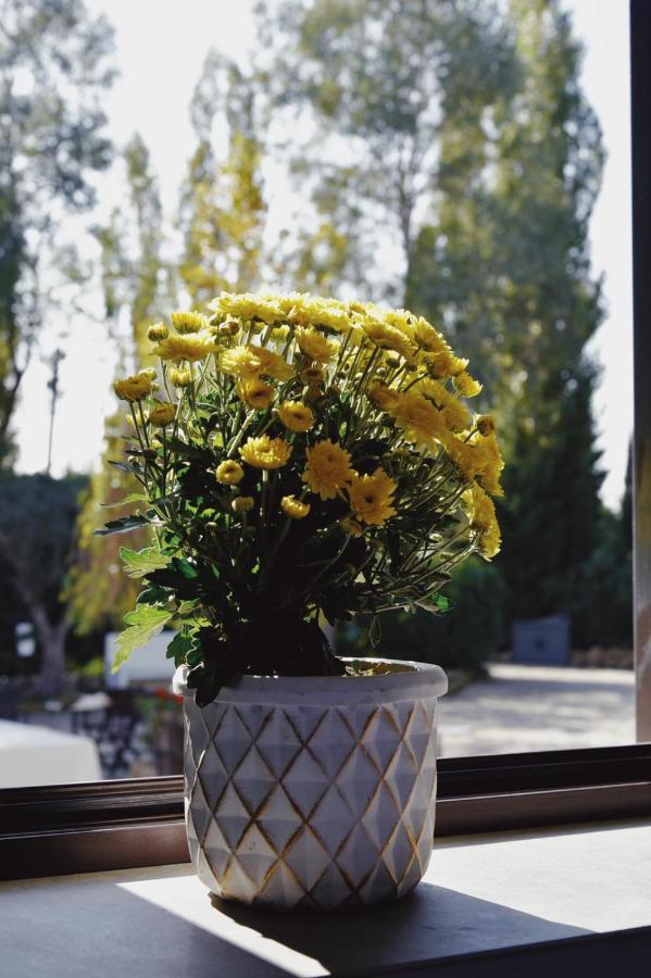 Casale Rurale Bed & Breakfast San Marco Evangelista Dış mekan fotoğraf